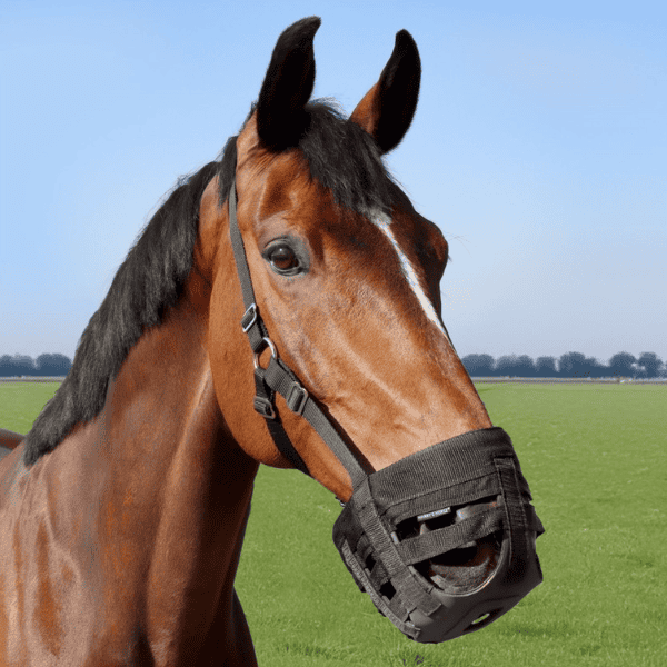 Graaskorf Muzzle Air