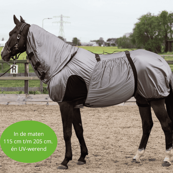 Harry's Horse Eczeemdeken