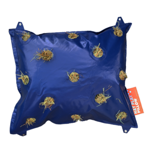 Hay Playbag Pillow