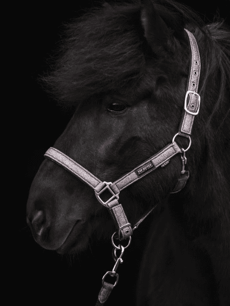 Topreiter Halster glitrandi roze