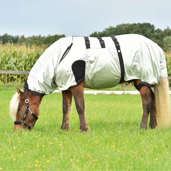 help mijn paard heeft jeuk wat nu