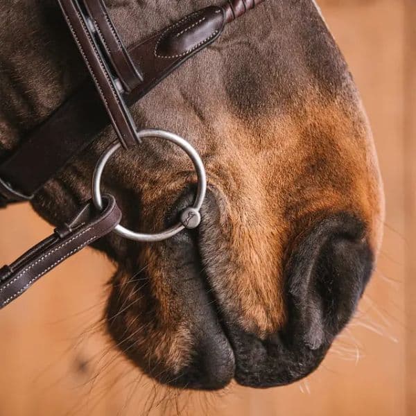 Mathilda Titanium watertrens van Fager