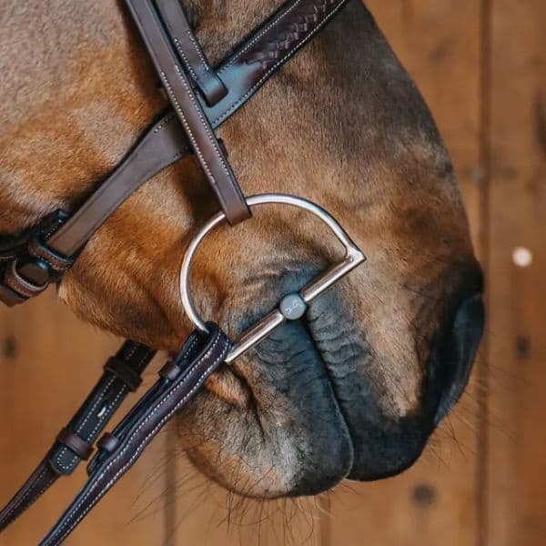 Fager Greta Titanium D-trens (3) Fager Greta Titanium D-trens