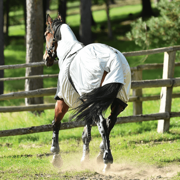 Paarden met jeuk in de winter