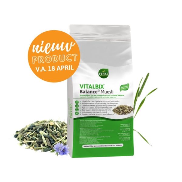 Vitalbix Balance+ Muesli