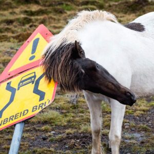 Zomer Eczeem Advies Traject