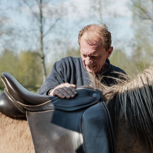 Zadelpasservice voor paarden met korte rug