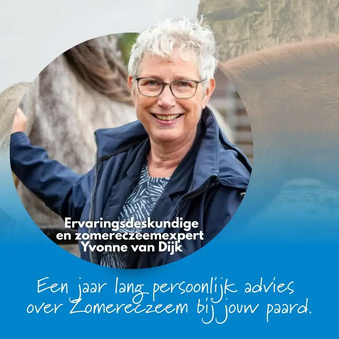 2 (2) Zomereczeem adviestraject