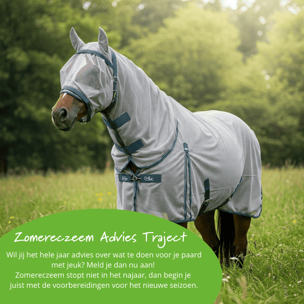 Kennismaken ZAT traject