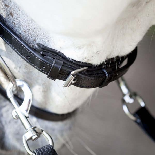 Hrimnir Flash Gecombineerde neusriem Hrimnir Flash Gecombineerde neusriem