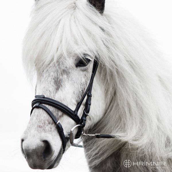 Hrimnir Flash Gecombineerde neusriem