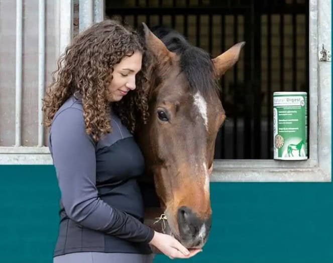 Heb jij een paard met zomerkriebels