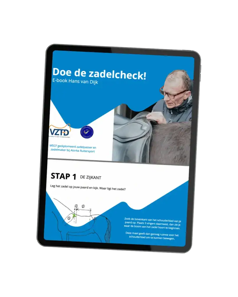 ebook hans van dijk zadelcheck