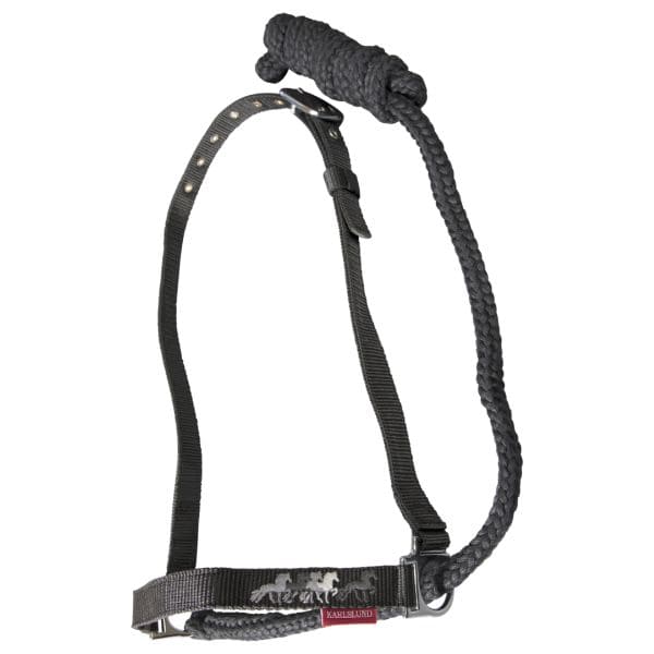 Karlslund vanghalster