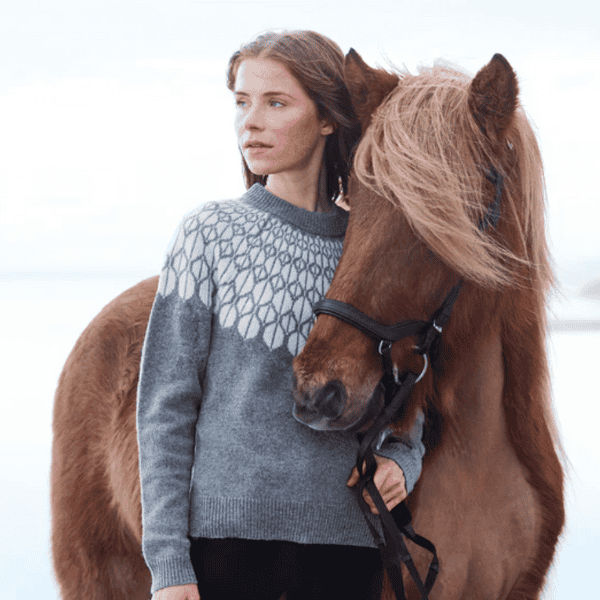 EQ KL Magda IJslandse trui grijs EQ KL Magda IJslandse trui grijs