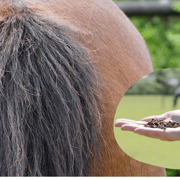 Jeuk welke kruiden kun je inzetten