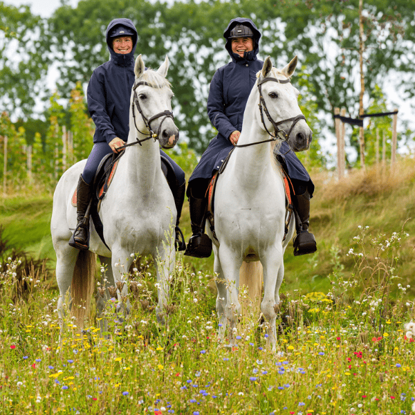 Paardrijden in de herfst en de winter