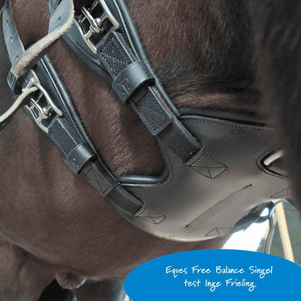 Review Eques Free Balance singel