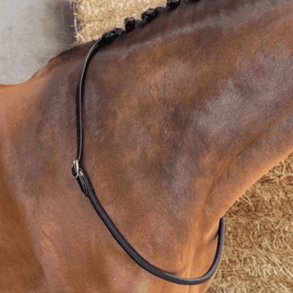 Harry's Horse Neckrope balancer