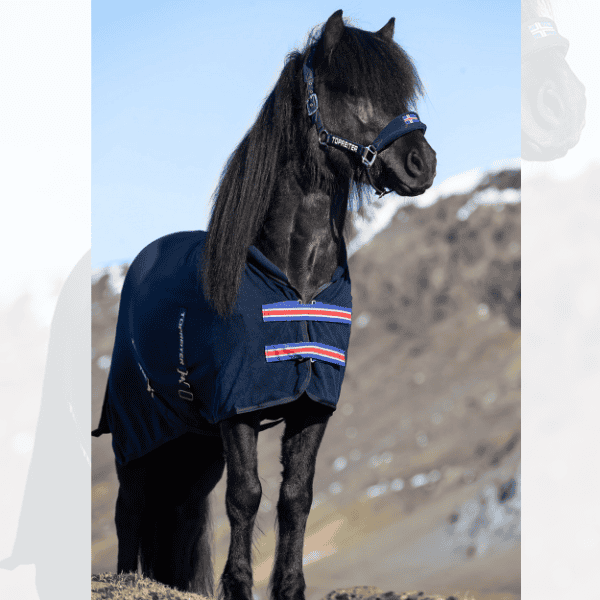 Topreiter Klaki fleecedeken IJslandse kleuren