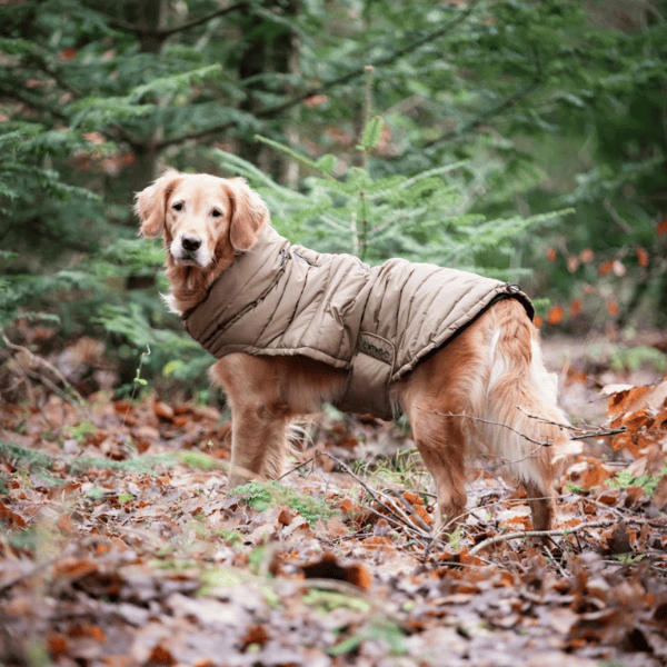 Catago FIR-Tech Puffer hondendeken