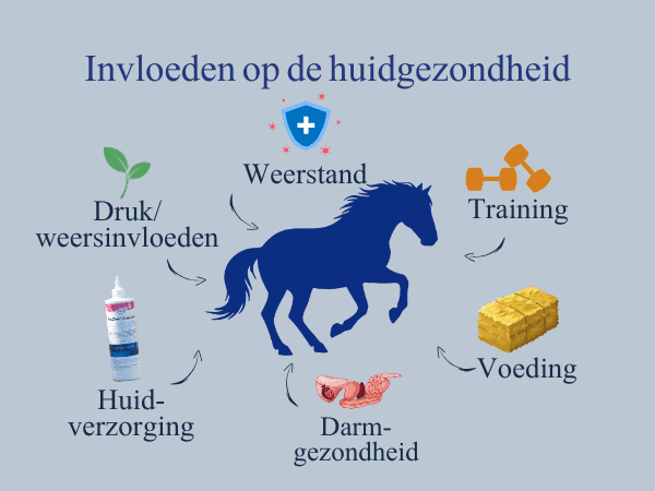 Huidproblemen bij paarden