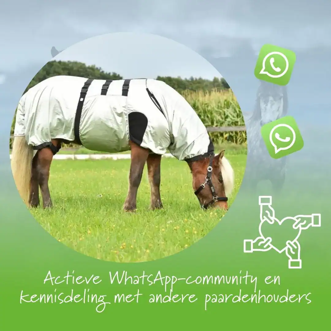 3 (1) Kennismaking zomereczeem adviestraject