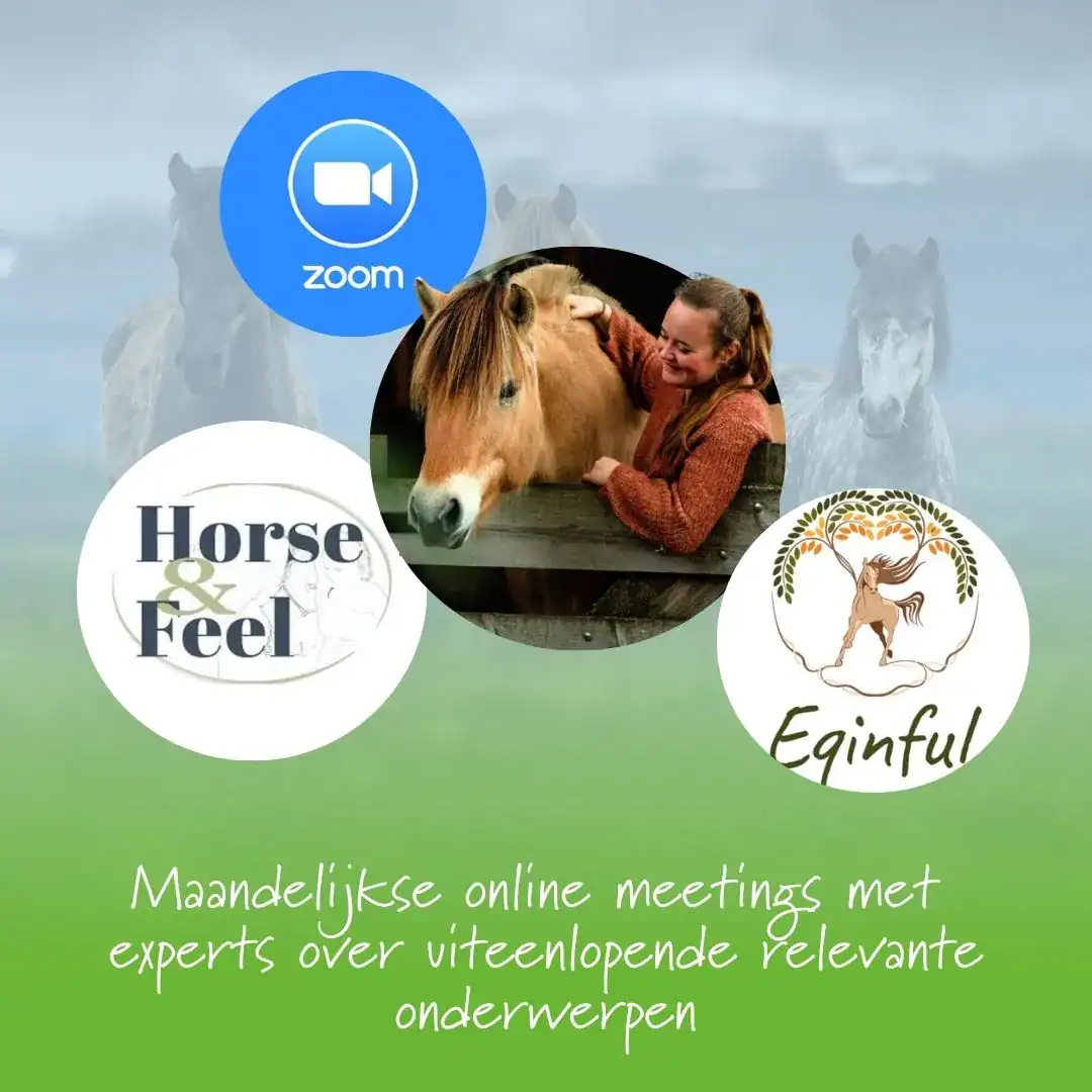 4 Kennismaking zomereczeem adviestraject