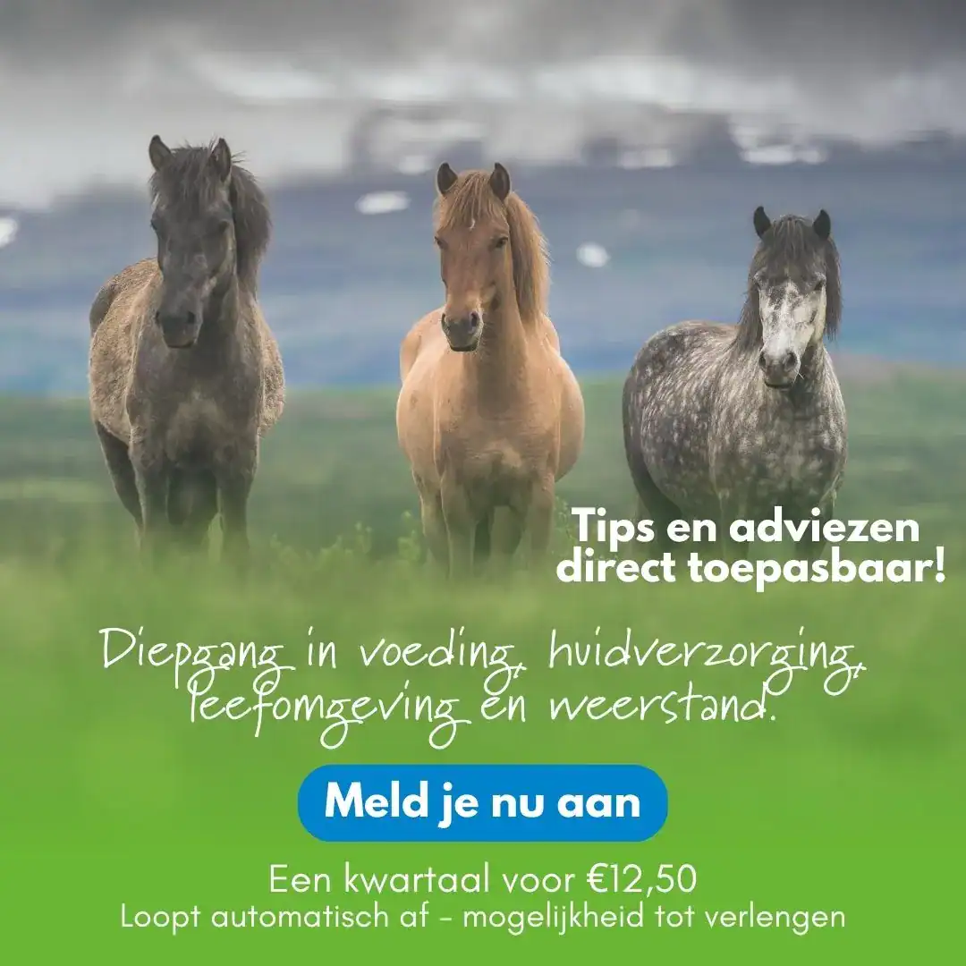 5 Kennismaking zomereczeem adviestraject