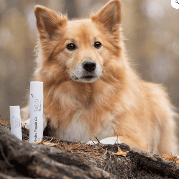 Doderm Hydro RepairGel Pet