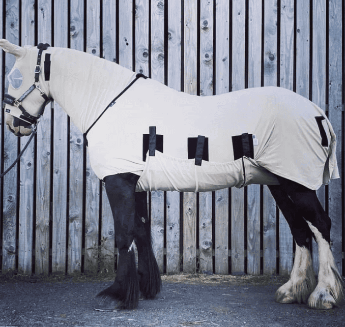 Snuggy Hoods maatvoering